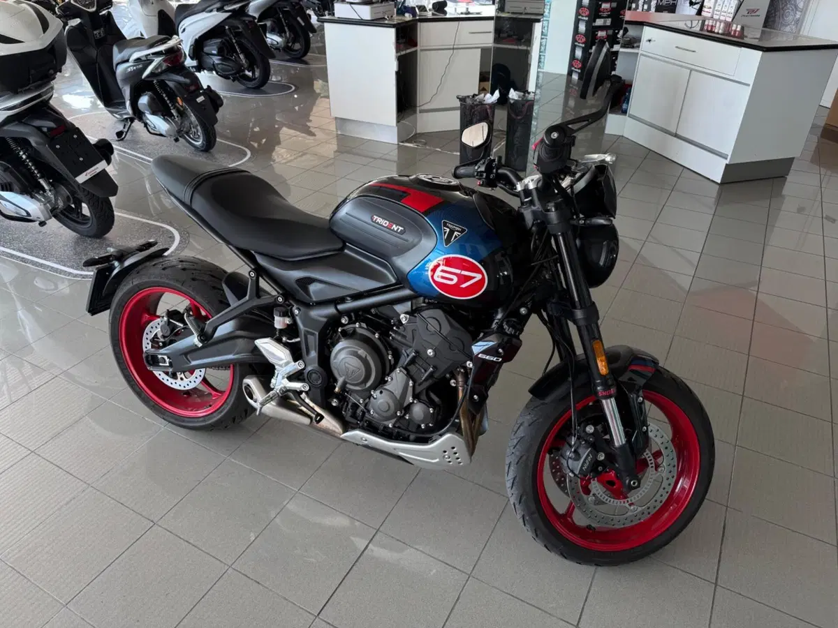 Triumph Trident 660 Triple Tribute Edition (2025 - 26)