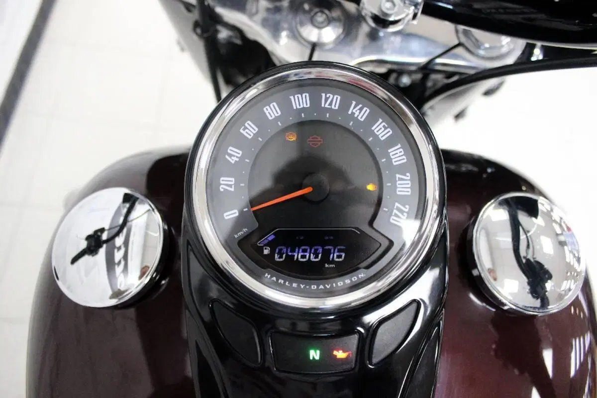 Harley-Davidson 107 Heritage Classic (2018 - 19) - FLHC (8)