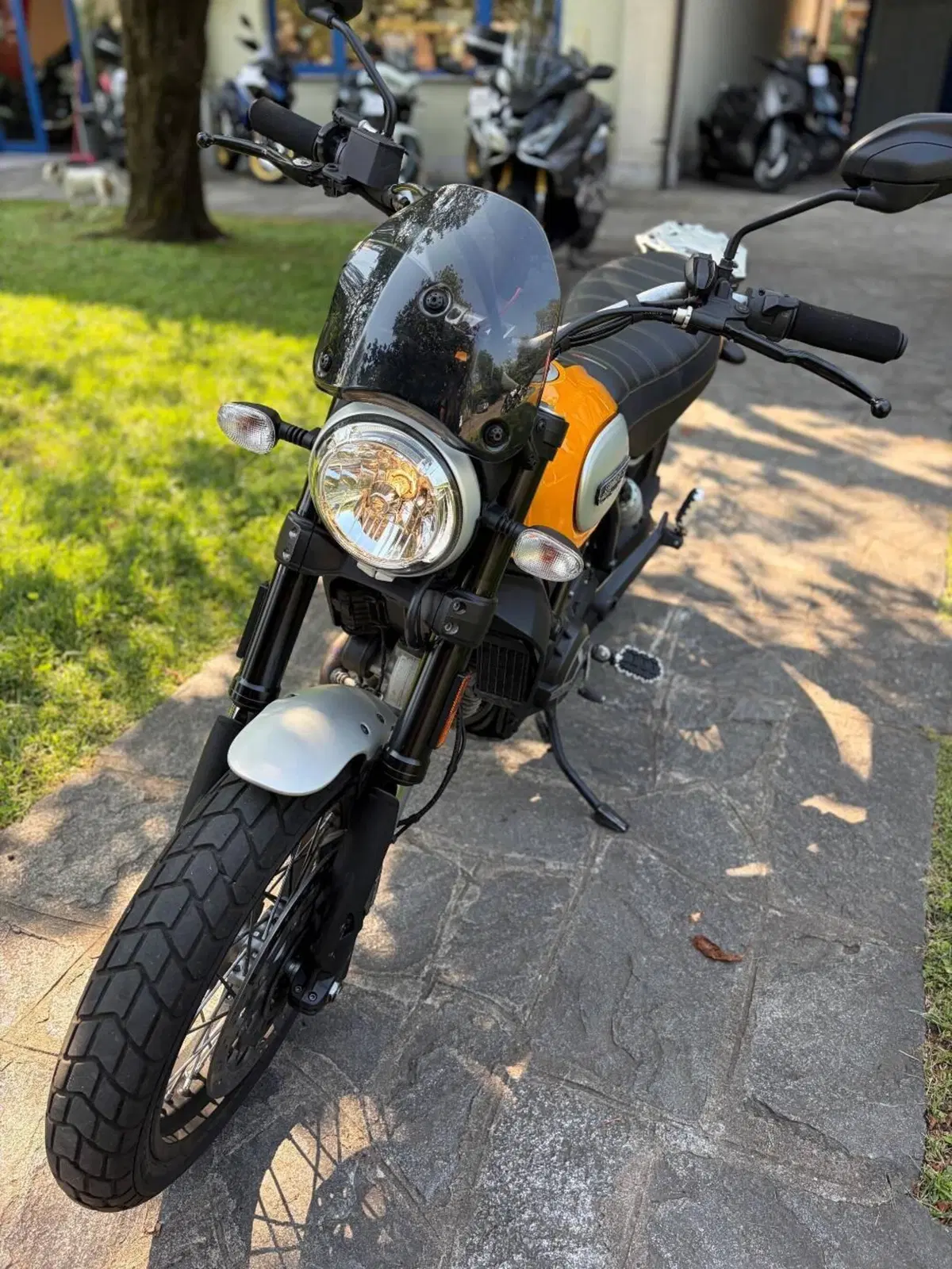 Ducati Scrambler 800 Classic (2017 - 18) (3)