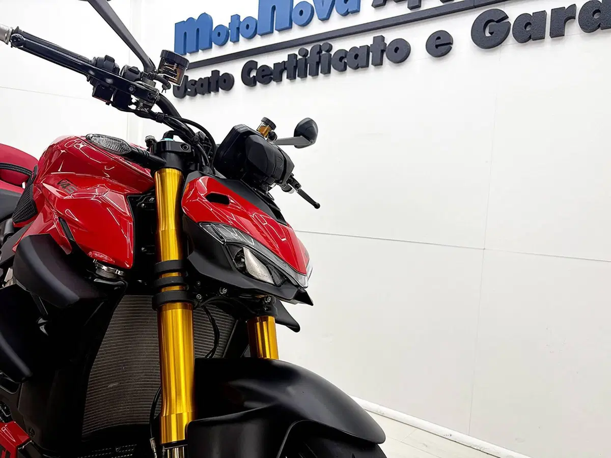 Ducati Streetfighter V4 S (2023 - 24) (13)