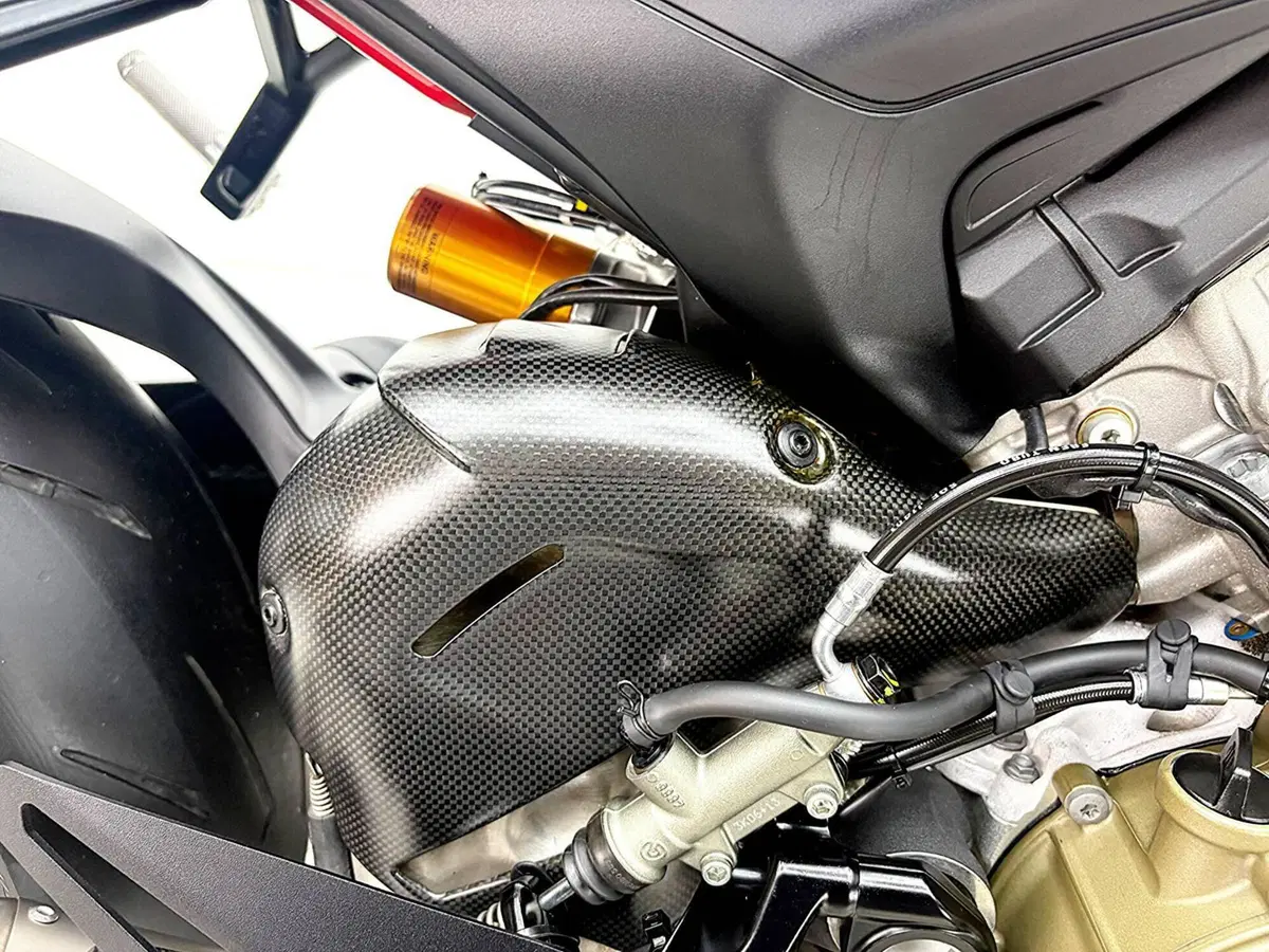 Ducati Streetfighter V4 S (2023 - 24) (7)