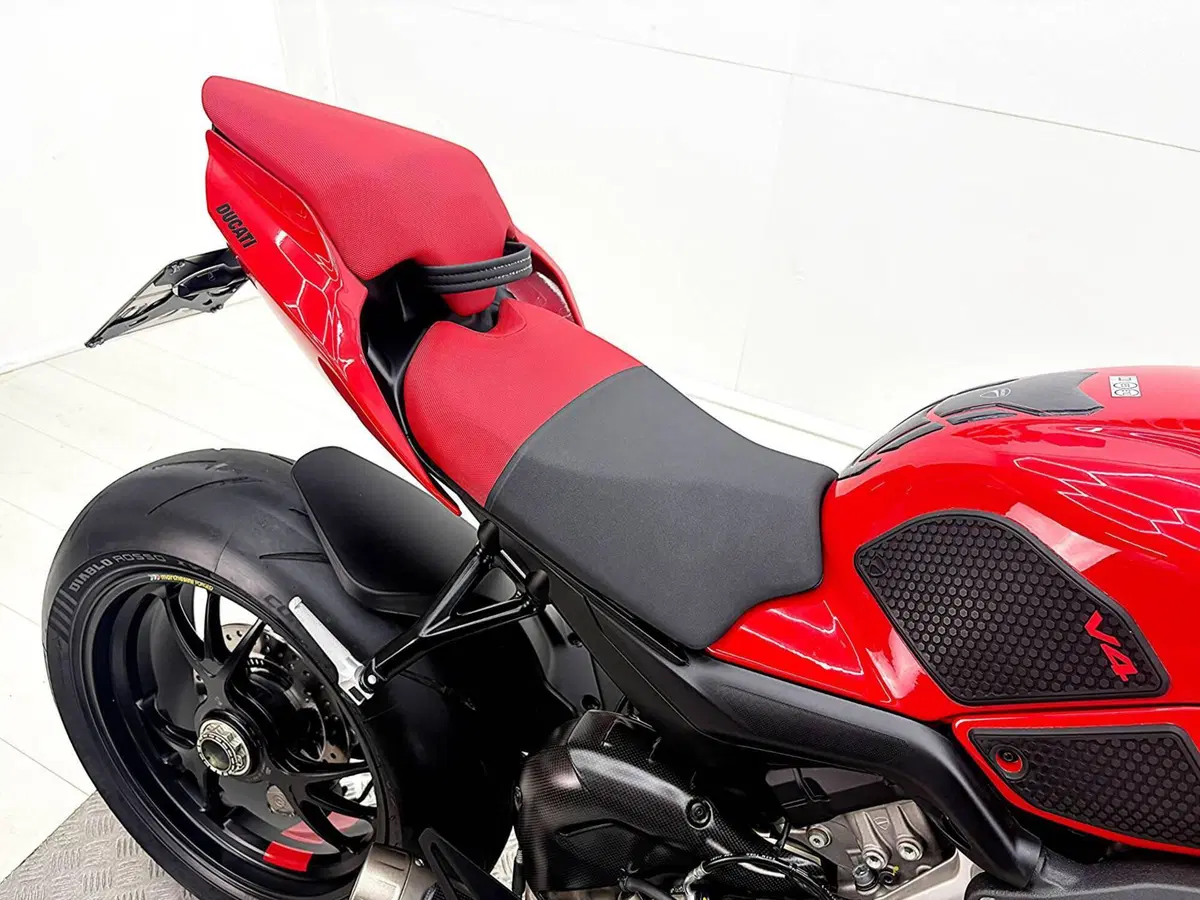 Ducati Streetfighter V4 S (2023 - 24) (20)