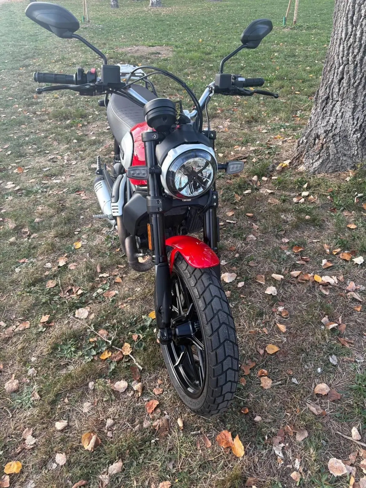 Ducati Scrambler 800 Icon (2021 - 22) (4)