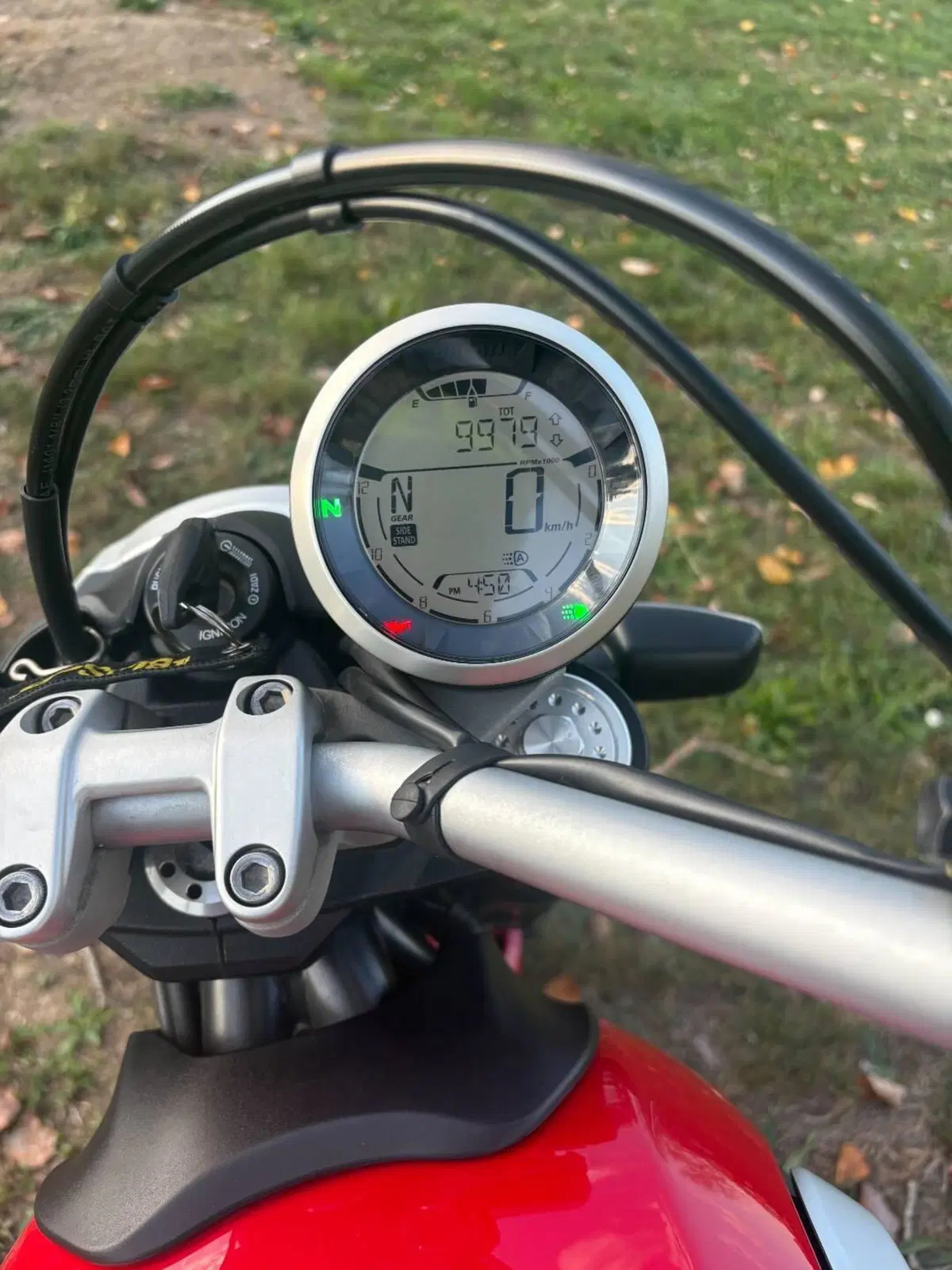 Ducati Scrambler 800 Icon (2021 - 22) (5)