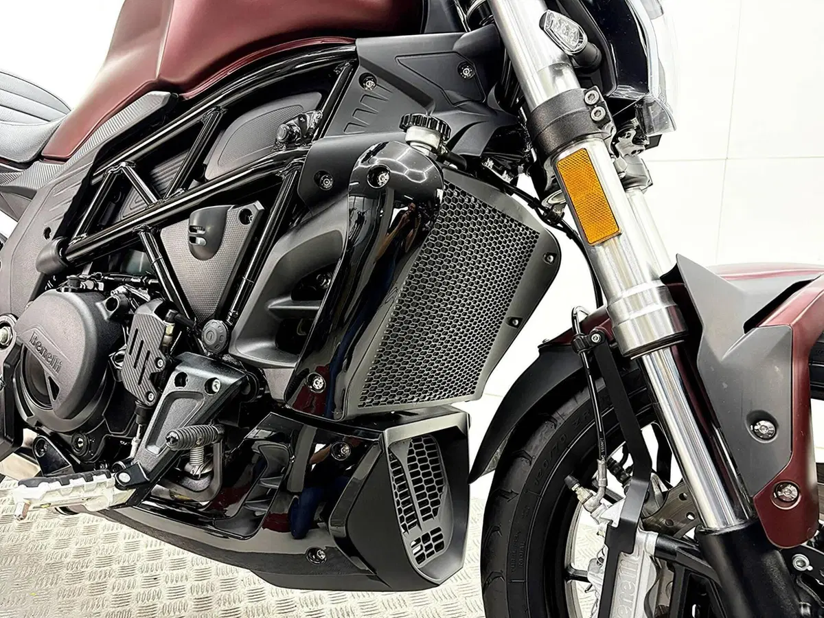 Benelli 502 C (2019 - 20) (10)