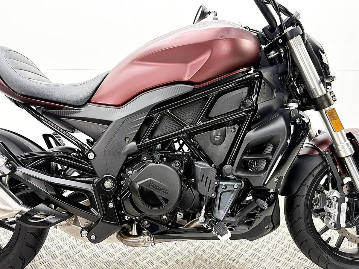 Benelli 502 C (2019 - 20) (8)