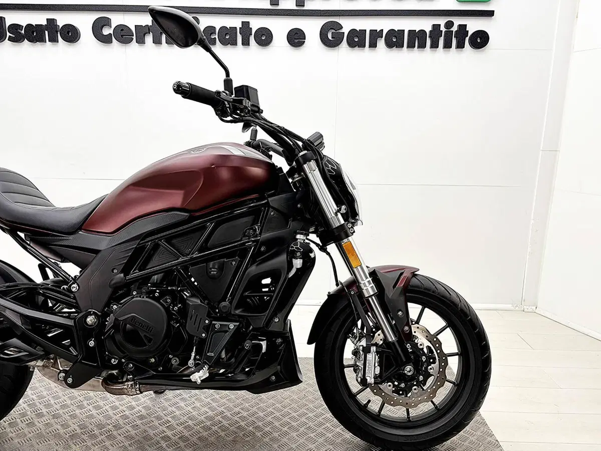 Benelli 502 C (2019 - 20) (9)