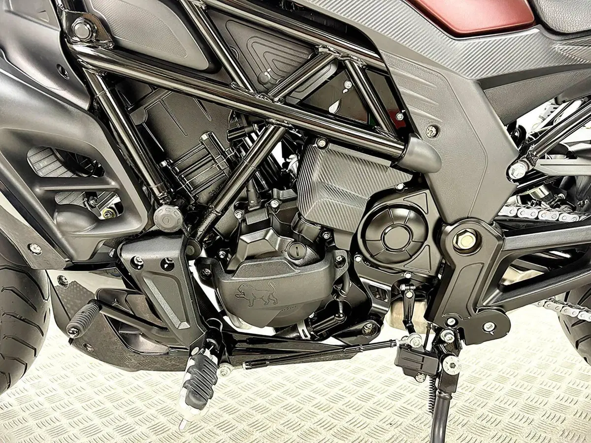 Benelli 502 C (2019 - 20) (16)