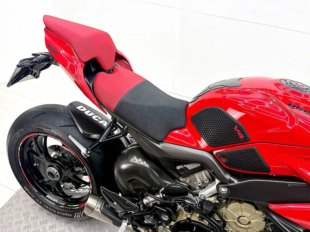 Ducati Streetfighter V4 S (2023 - 24) (18)