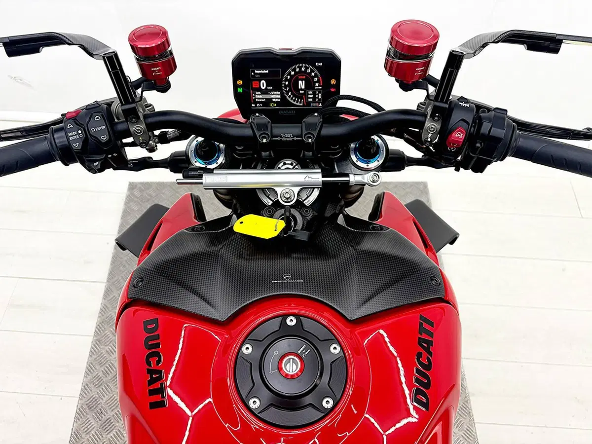 Ducati Streetfighter V4 S (2023 - 24) (19)