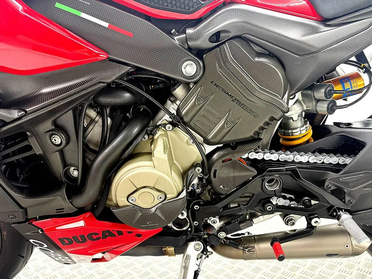 Ducati Streetfighter V4 S (2023 - 24) (15)
