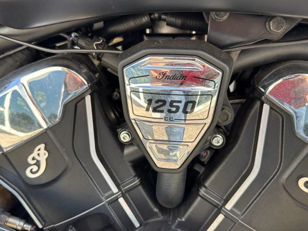 Indian Scout 1250 Super (2025 - 26) (14)