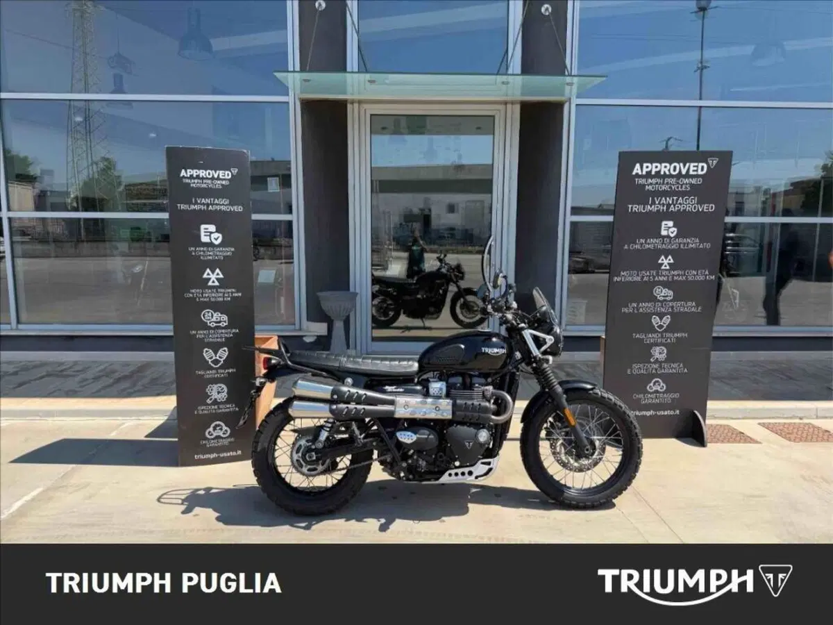Triumph Street Scrambler 900 (2017 - 18) (4)