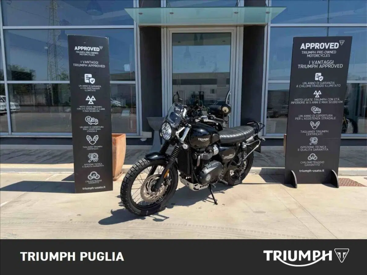 Triumph Street Scrambler 900 (2017 - 18) (3)