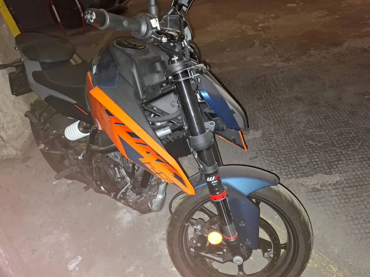 KTM 125 Duke (2024 - 25) (2)
