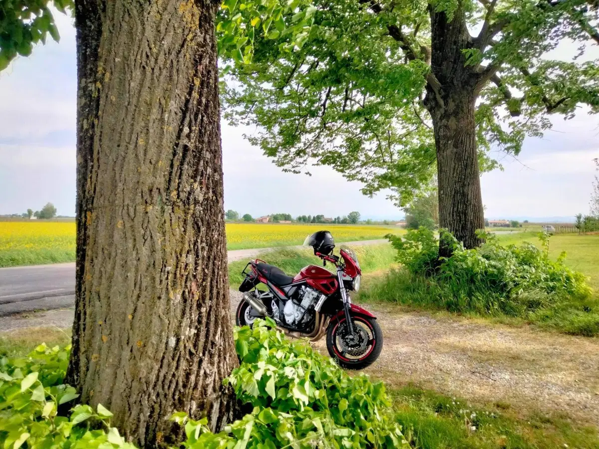 Suzuki GSF 1250 Bandit S (2006 - 11) (3)