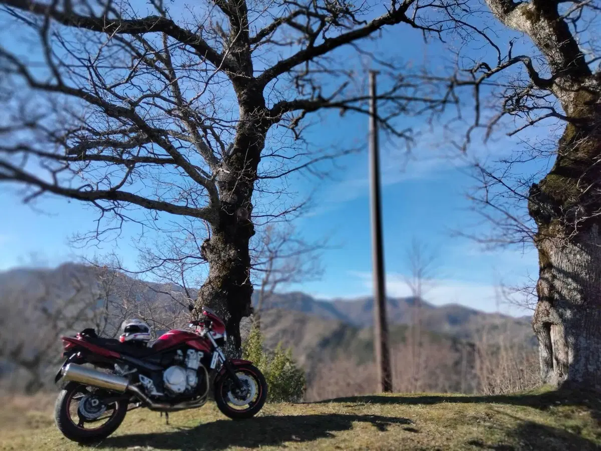 Suzuki GSF 1250 Bandit S (2006 - 11) (5)