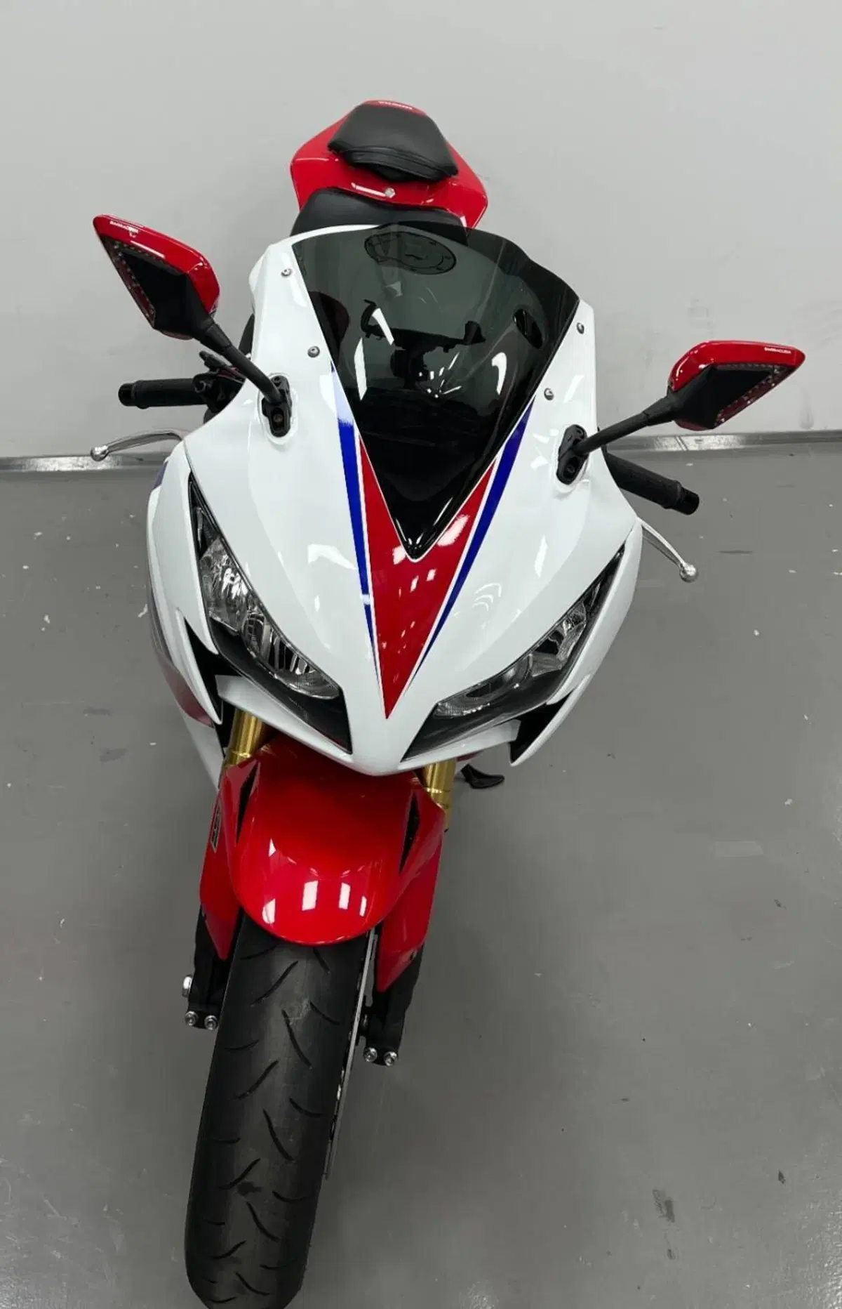 Honda CBR 1000 RR Fireblade (2012 - 16) (2)