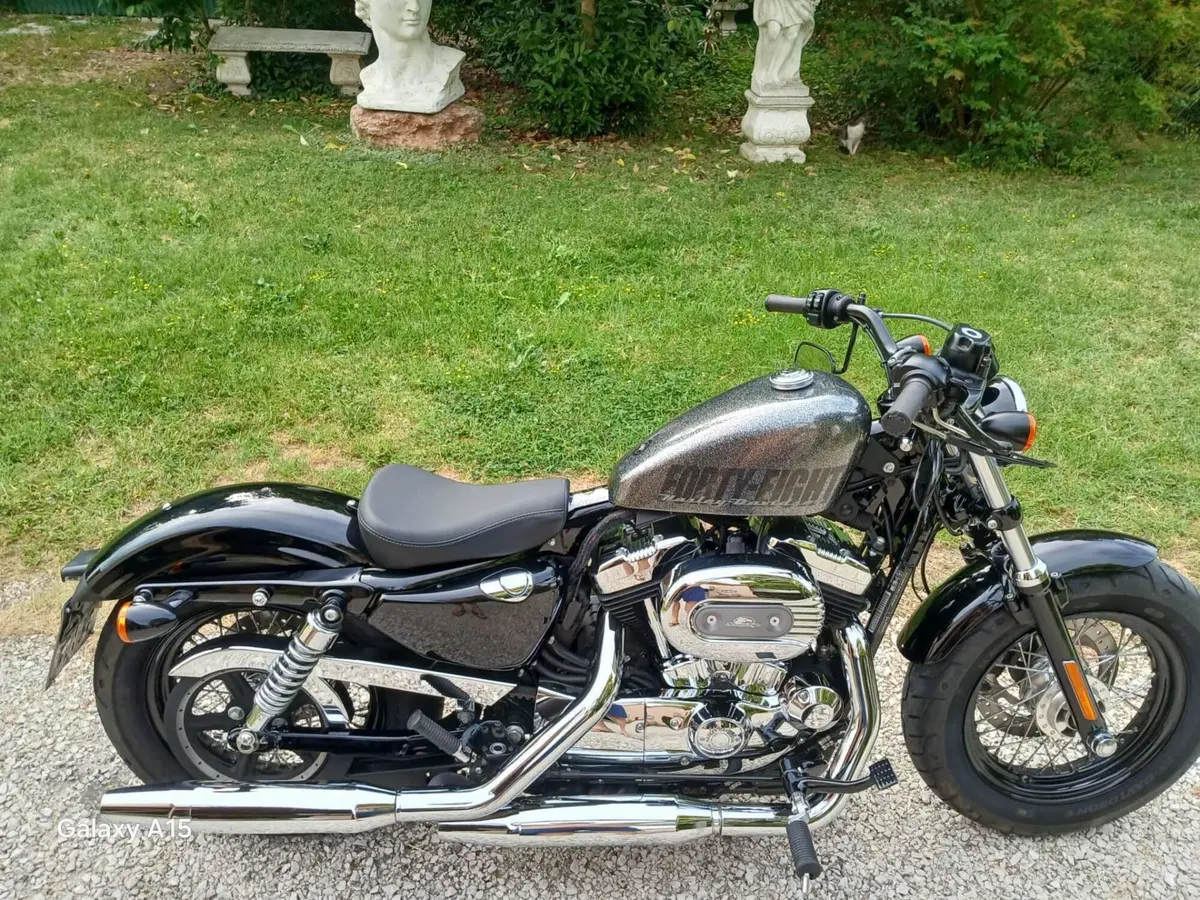 Harley-Davidson 1200 Forty-Eight (2010 - 15) (3)