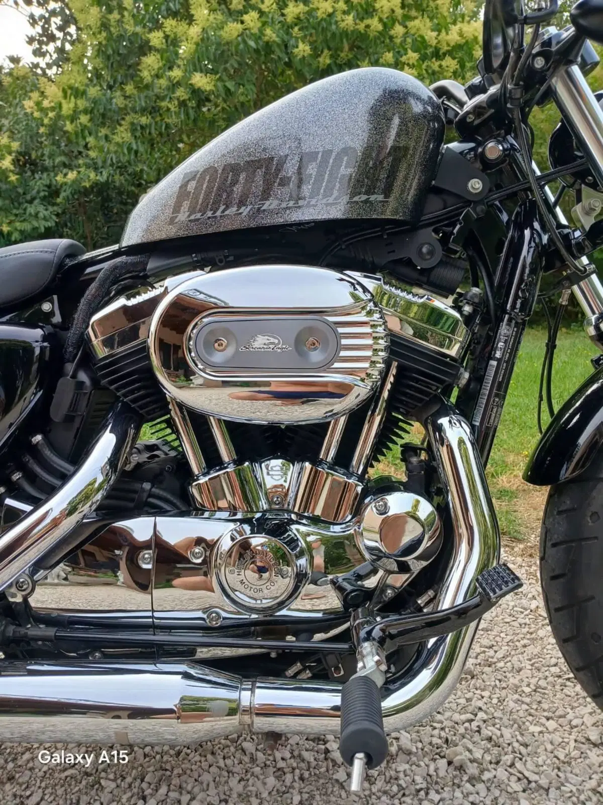 Harley-Davidson 1200 Forty-Eight (2010 - 15) (2)