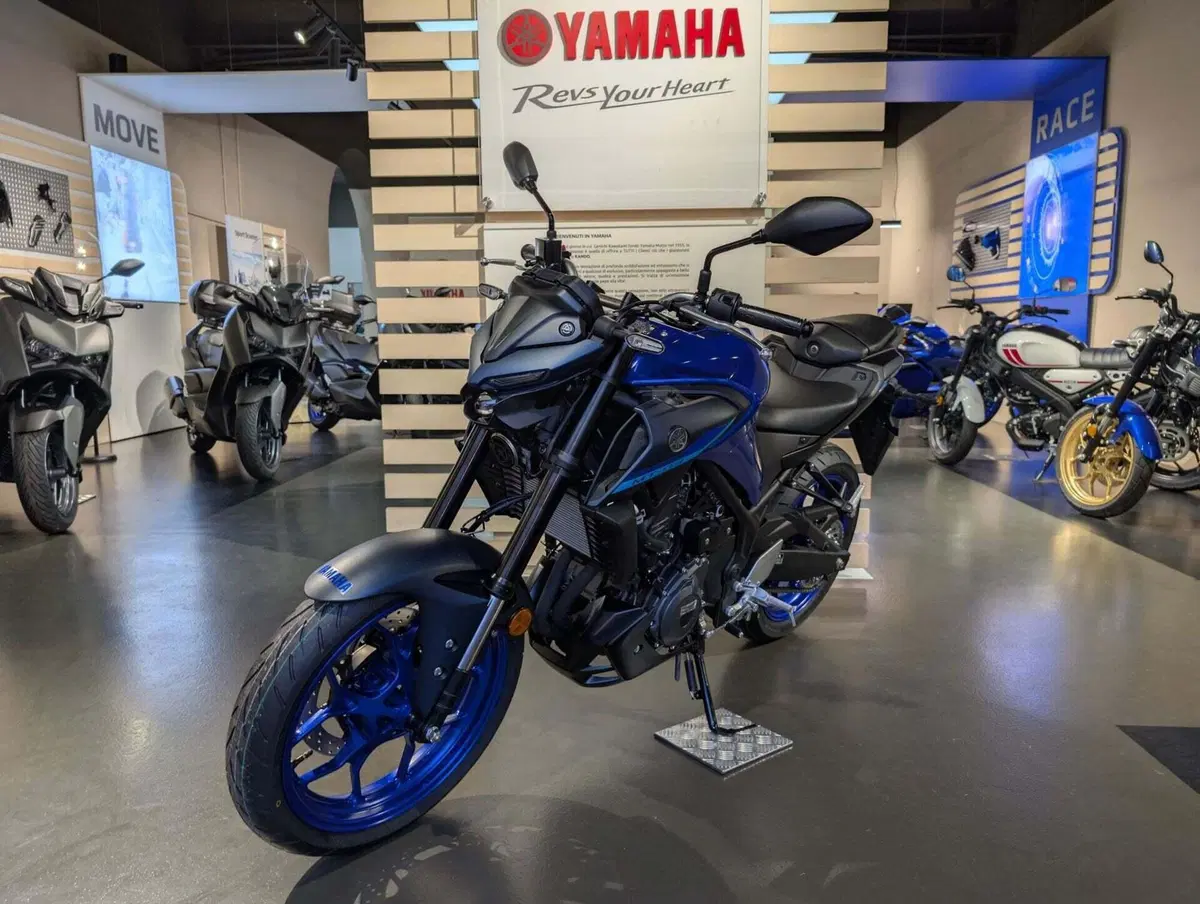 Yamaha MT-03 (2022 - 24) (4)