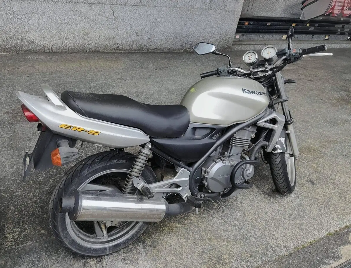 Kawasaki ER-5 500 (2001 - 06) (5)