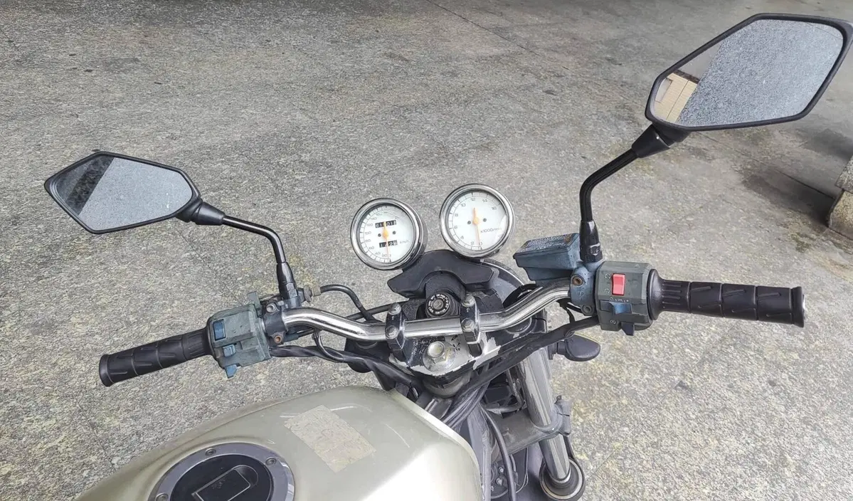 Kawasaki ER-5 500 (2001 - 06) (6)