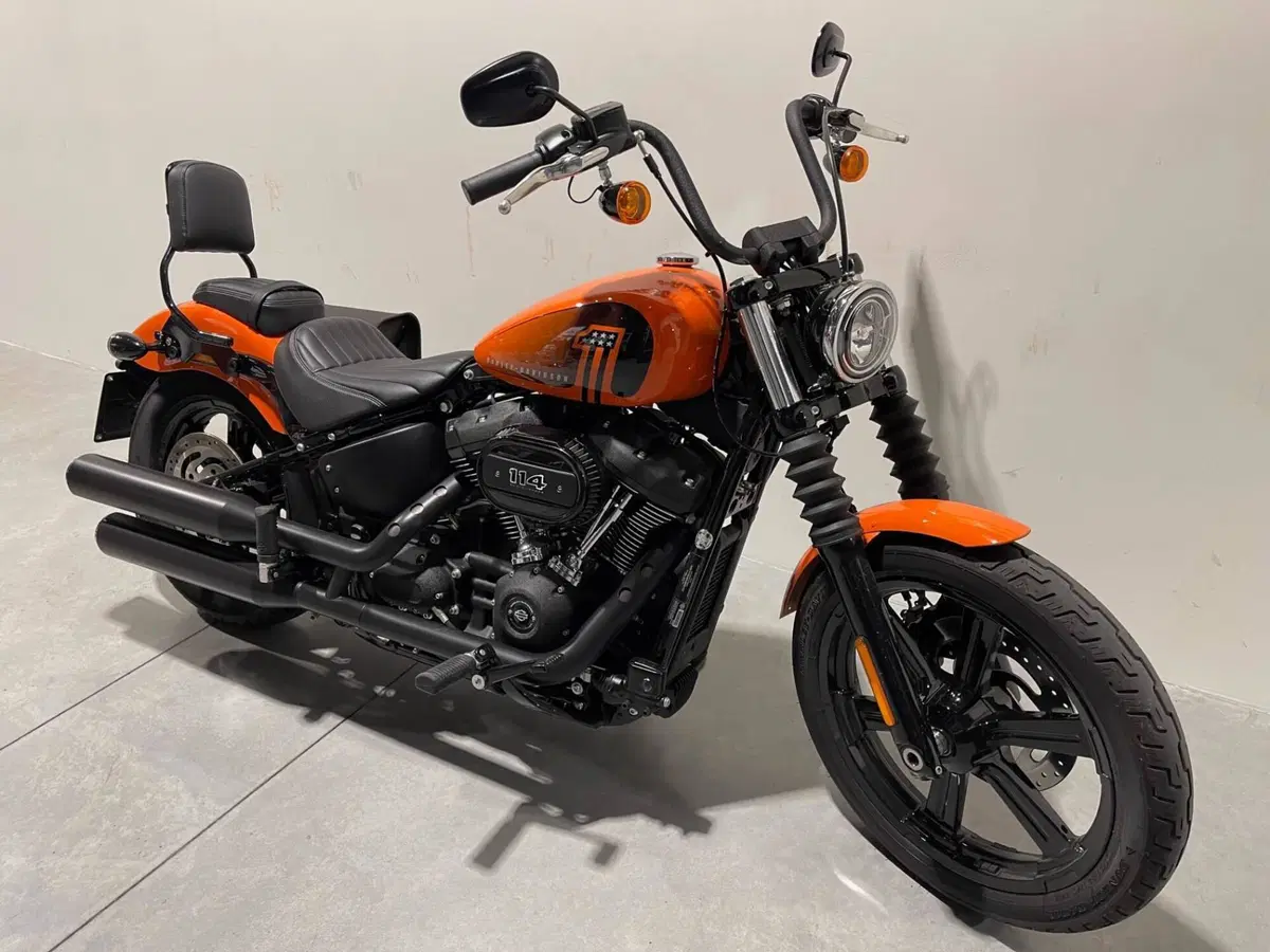 Harley-Davidson Street Bob 114 (2021 - 24) (2)