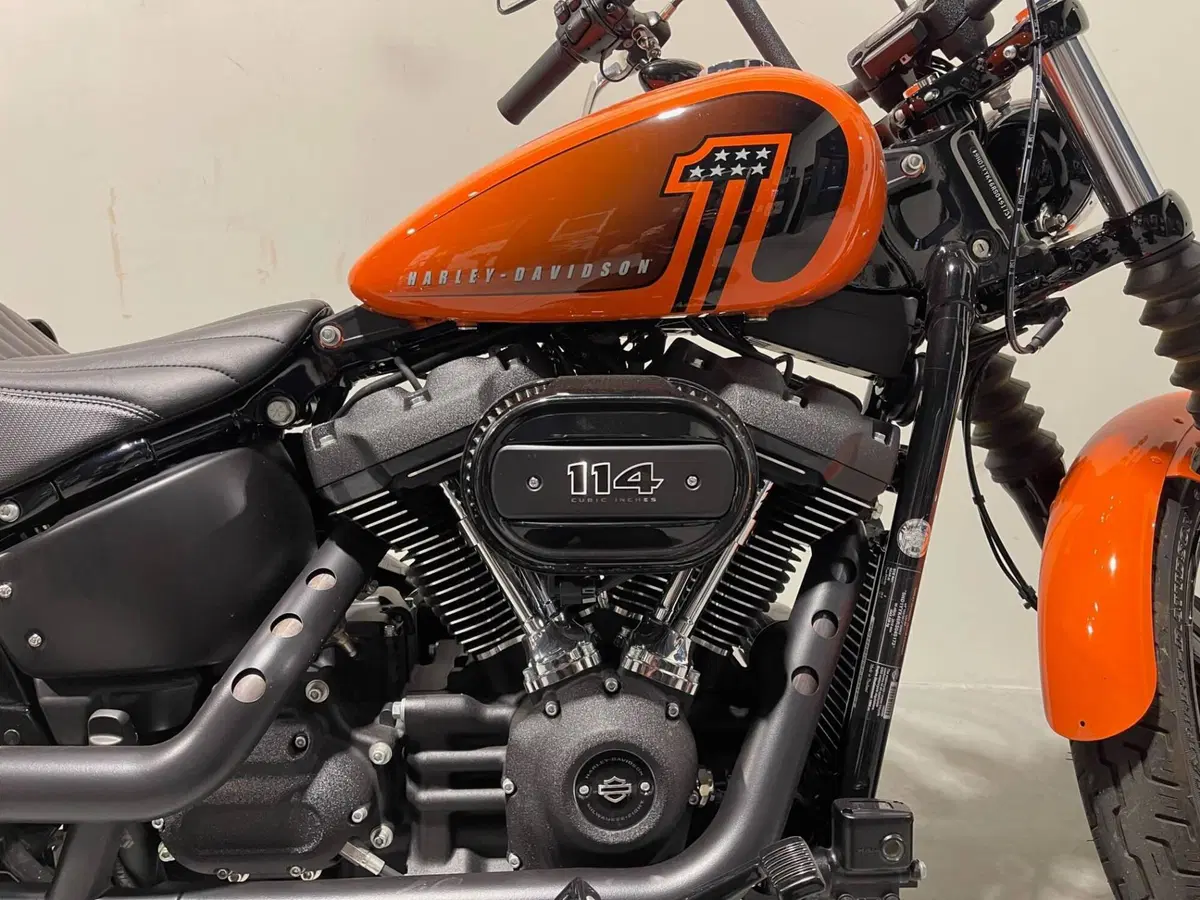 Harley-Davidson Street Bob 114 (2021 - 24) (3)