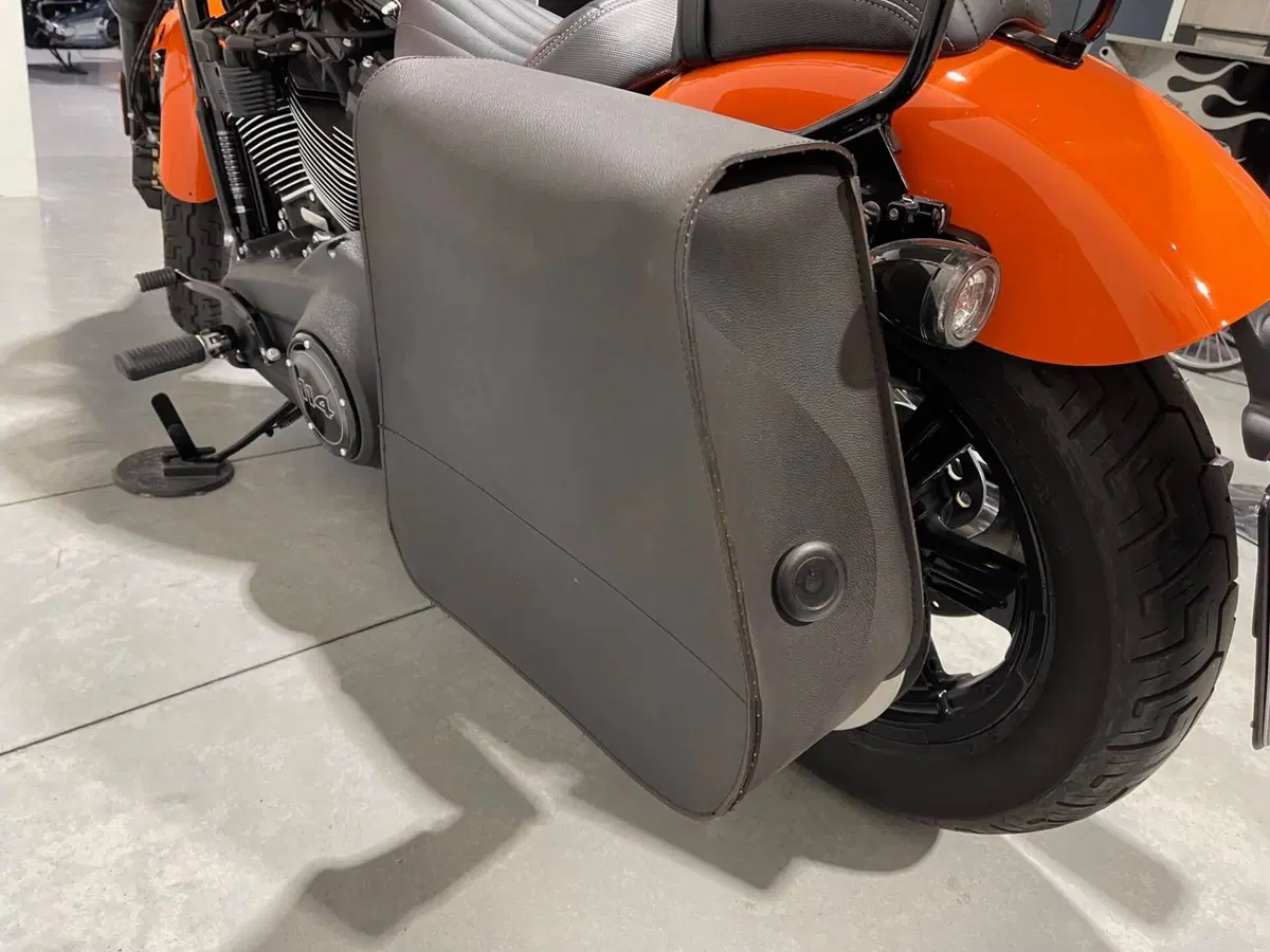 Harley-Davidson Street Bob 114 (2021 - 24) (6)