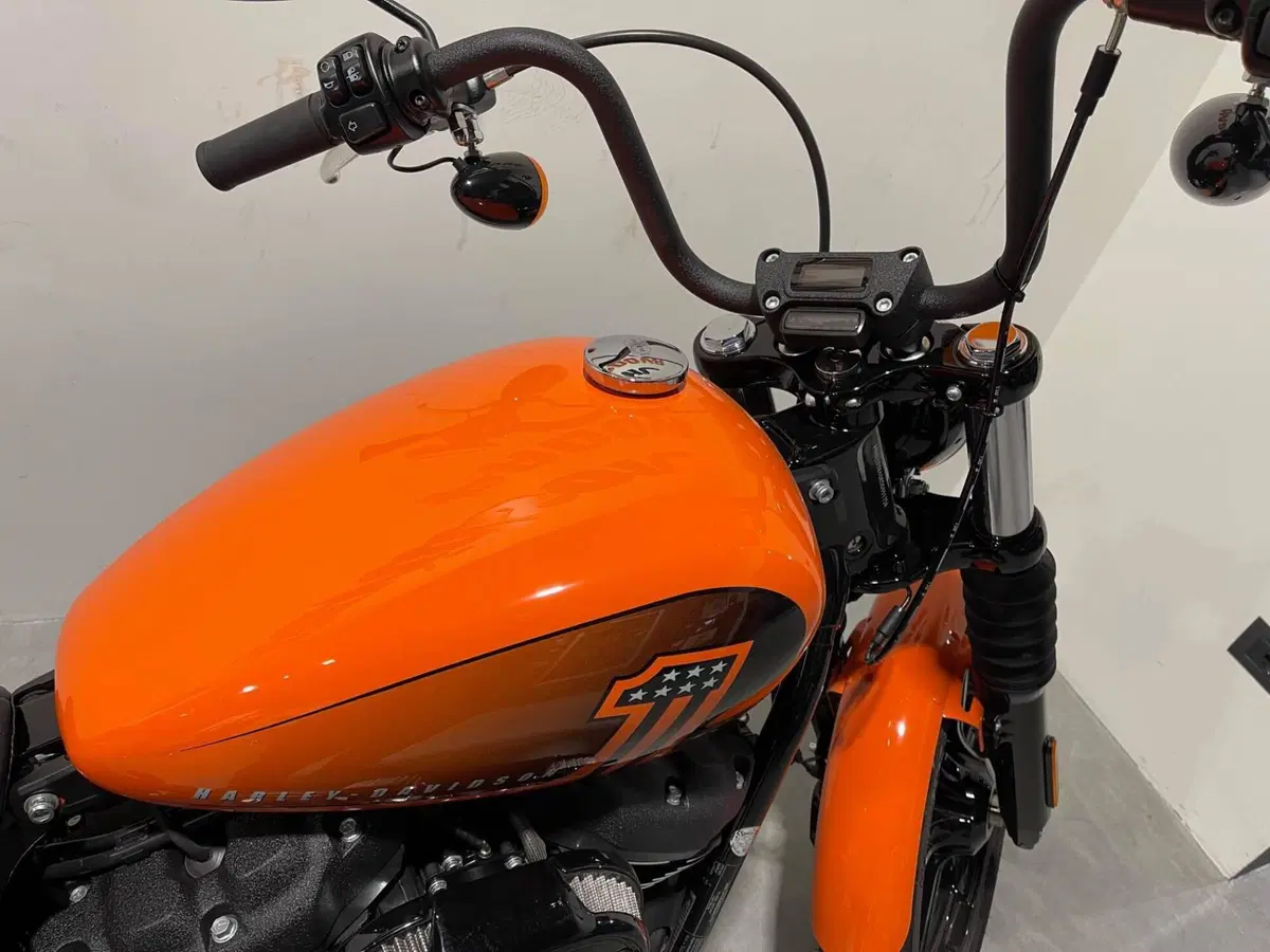 Harley-Davidson Street Bob 114 (2021 - 24) (7)