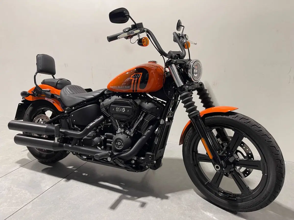 Harley-Davidson Street Bob 114 (2021 - 24) (8)