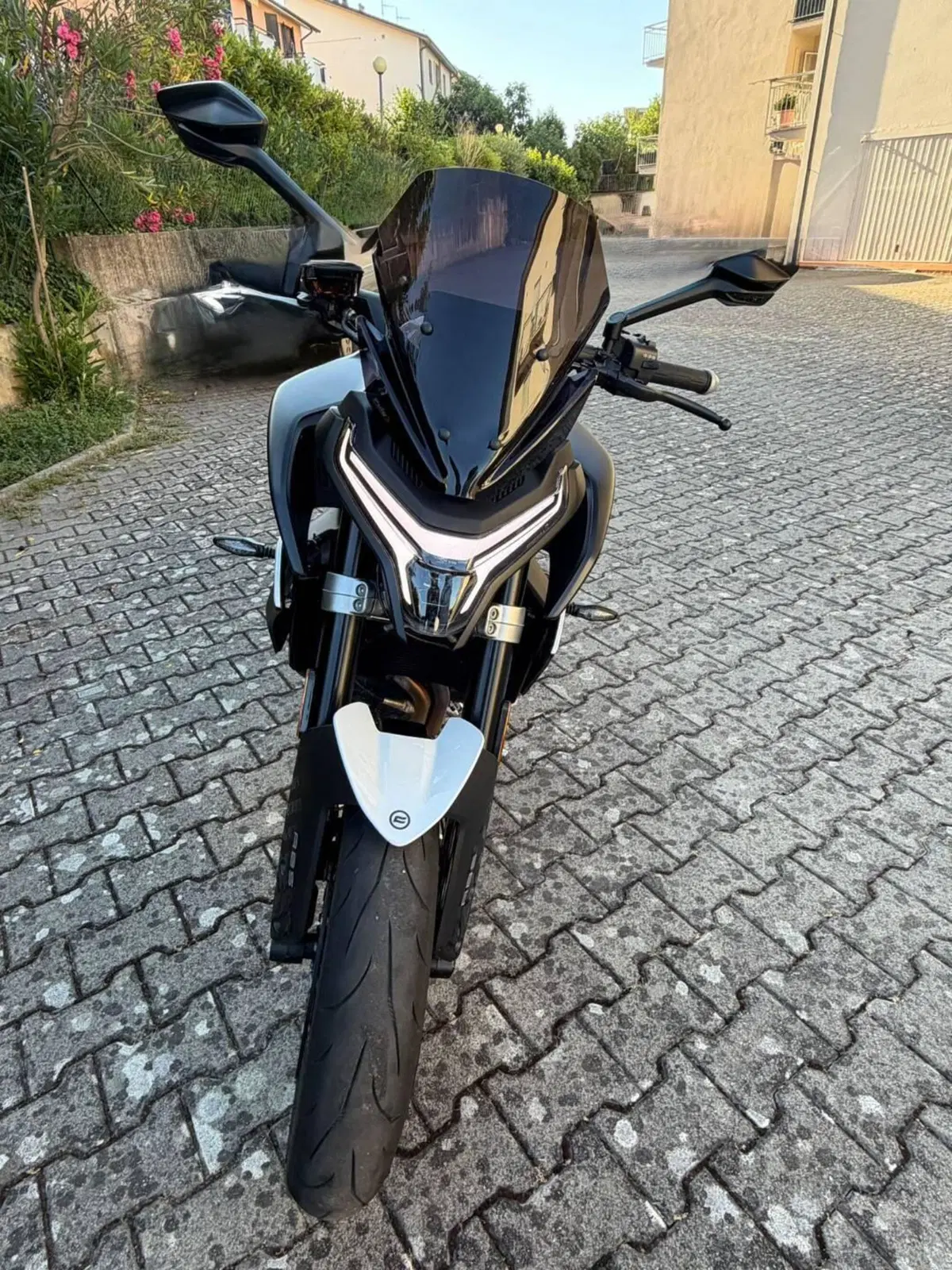 CFMOTO 800NK Advanced (2023 - 26) (3)
