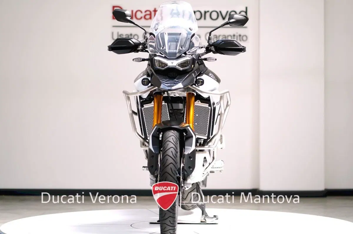 Triumph Tiger 900 Rally Pro (2024 - 26) (3)