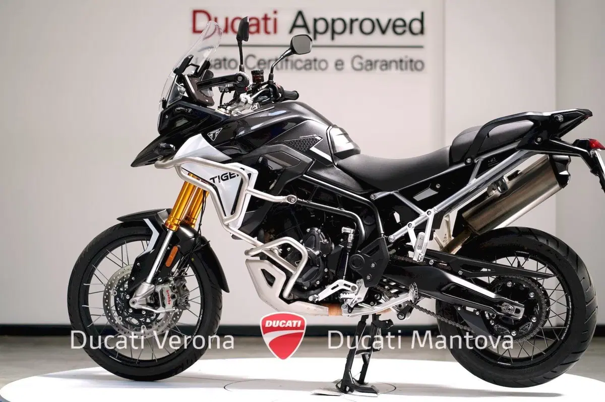 Triumph Tiger 900 Rally Pro (2024 - 26) (5)