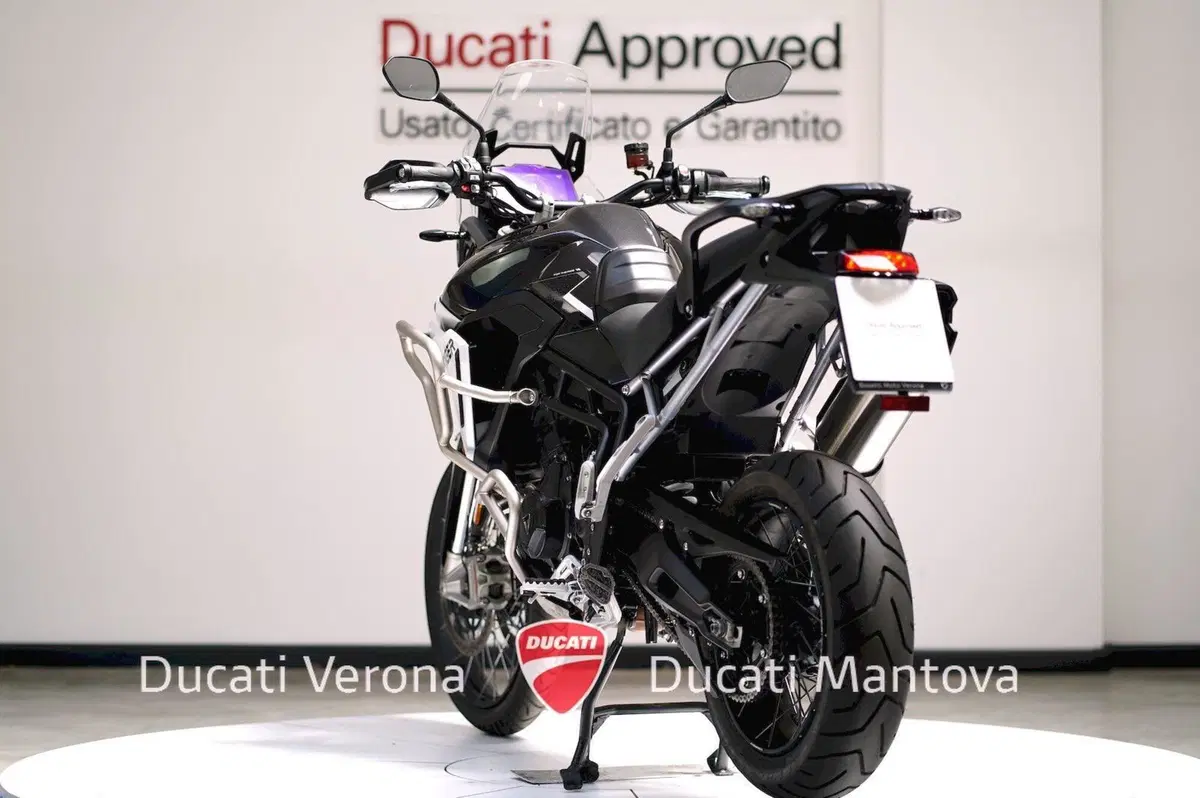 Triumph Tiger 900 Rally Pro (2024 - 26) (6)