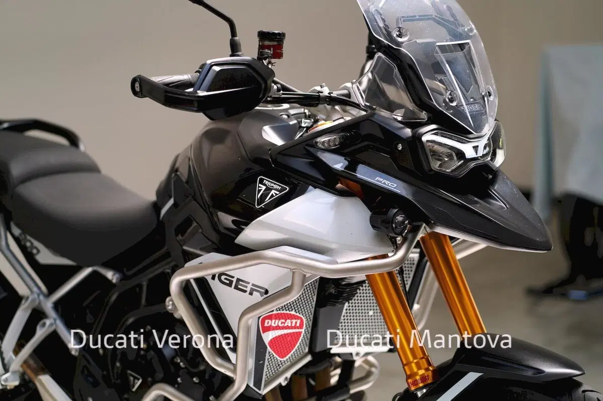 Triumph Tiger 900 Rally Pro (2024 - 26) (9)
