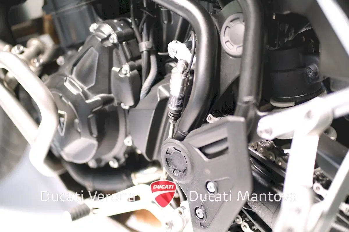 Triumph Tiger 900 Rally Pro (2024 - 26) (14)