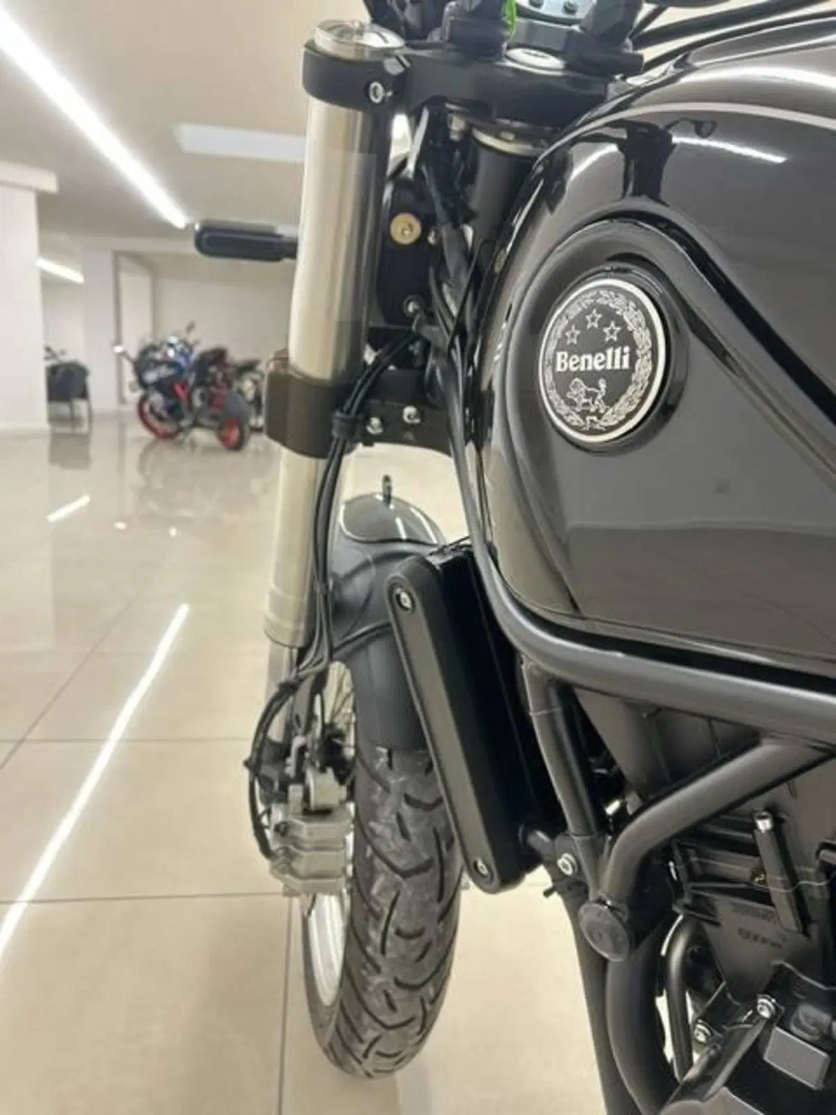 Benelli Leoncino 500 Trail (2021 - 26) (13)