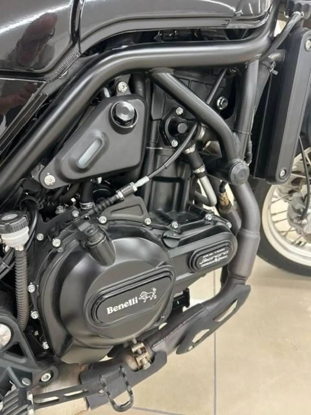 Benelli Leoncino 500 Trail (2021 - 26) (17)