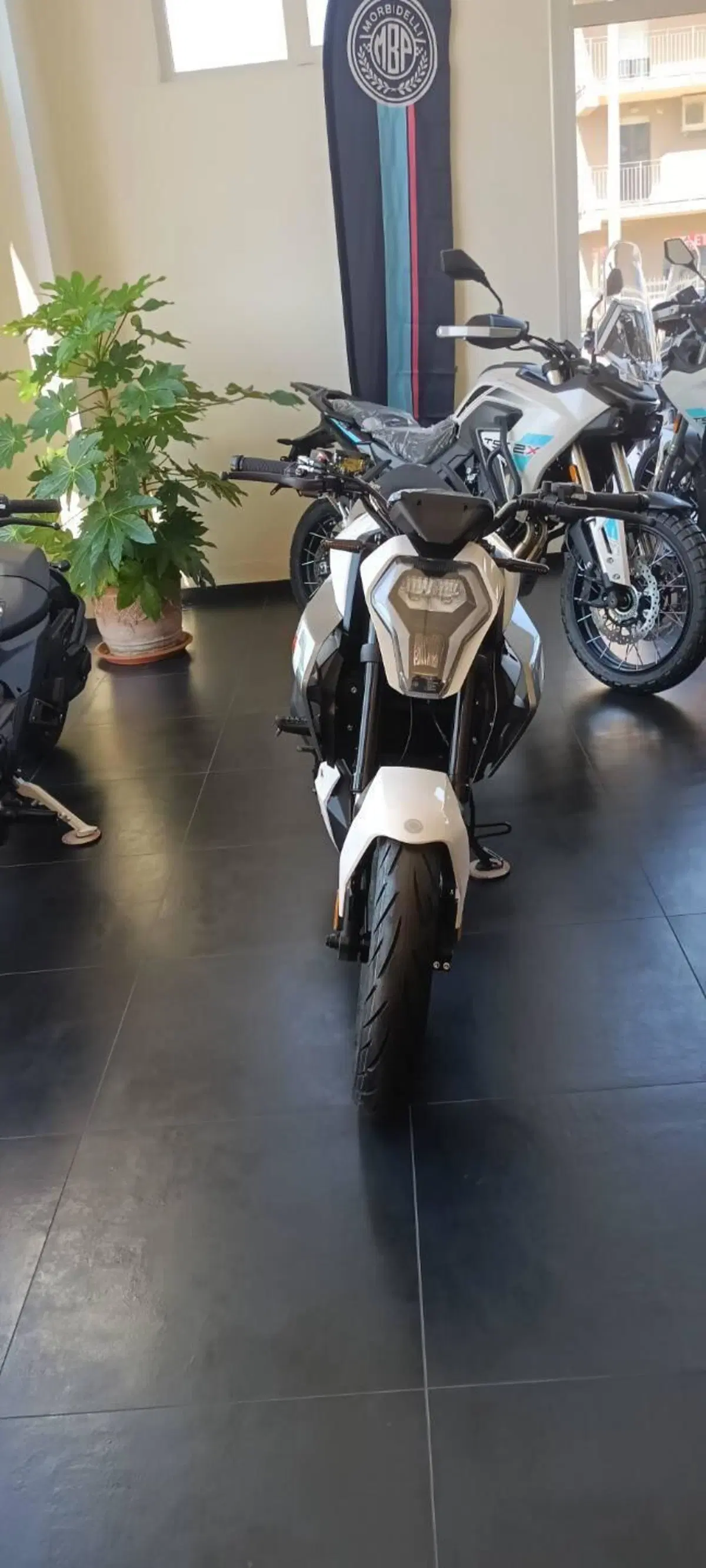Morbidelli F125 (2025 - 26) (2)