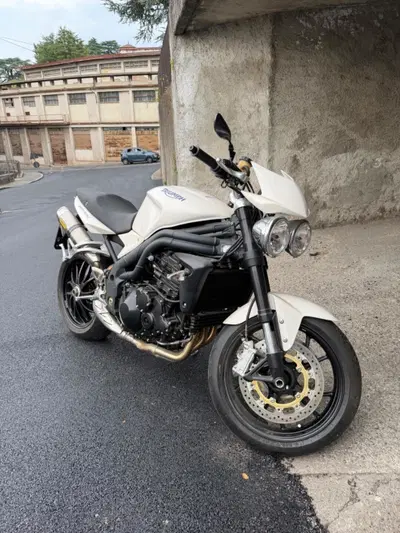 Triumph Speed Triple 1050 (2005 - 11) usata