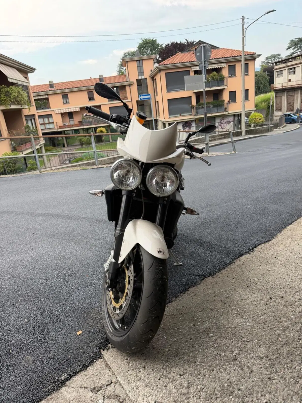 Triumph Speed Triple 1050 (2005 - 11) (2)