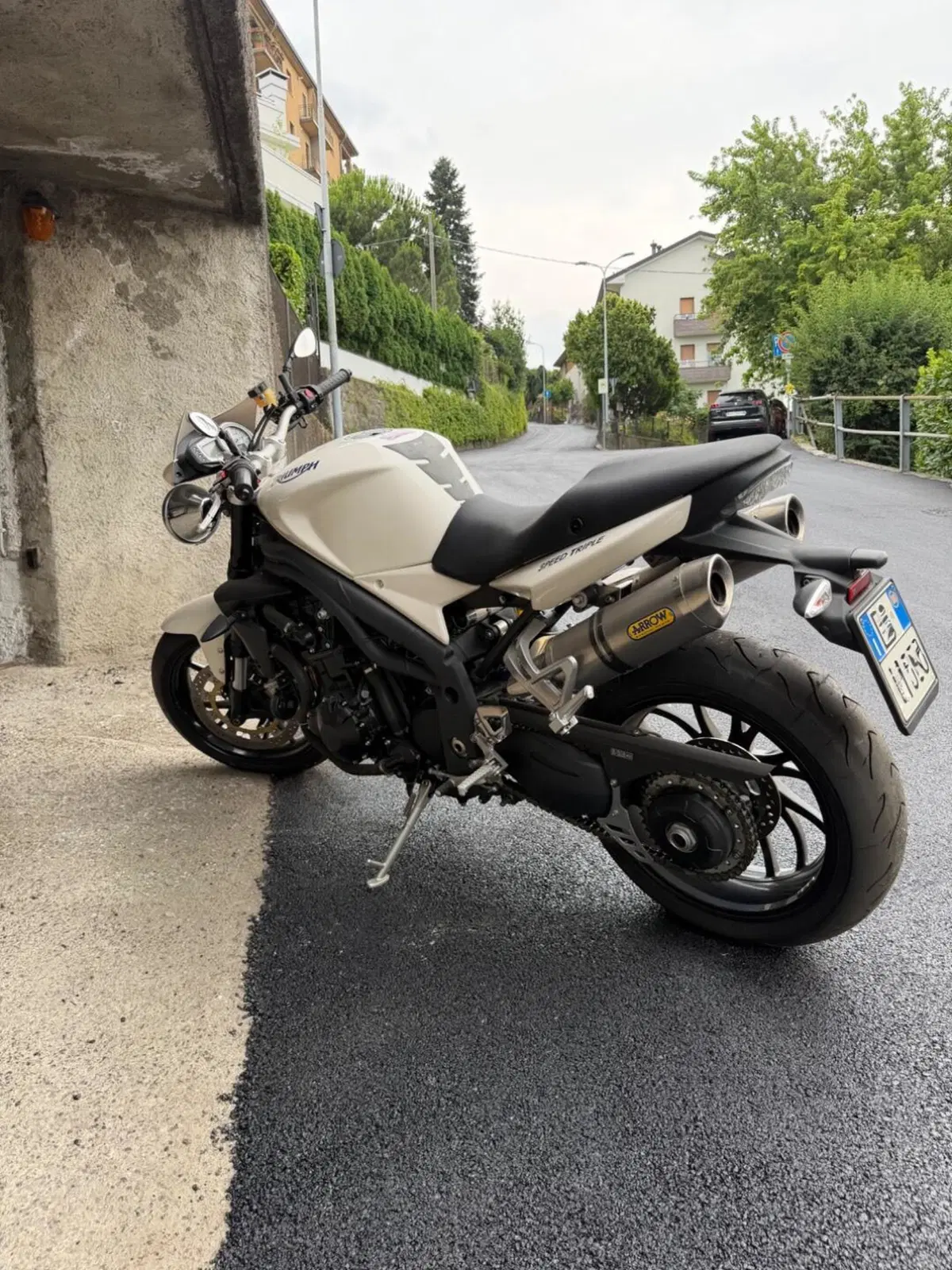 Triumph Speed Triple 1050 (2005 - 11) (4)