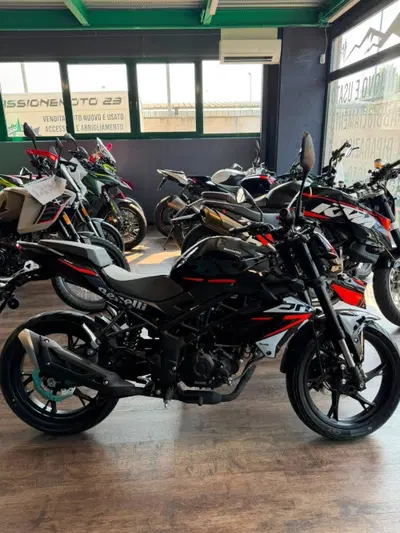 Benelli BN 125 (2026) nuova