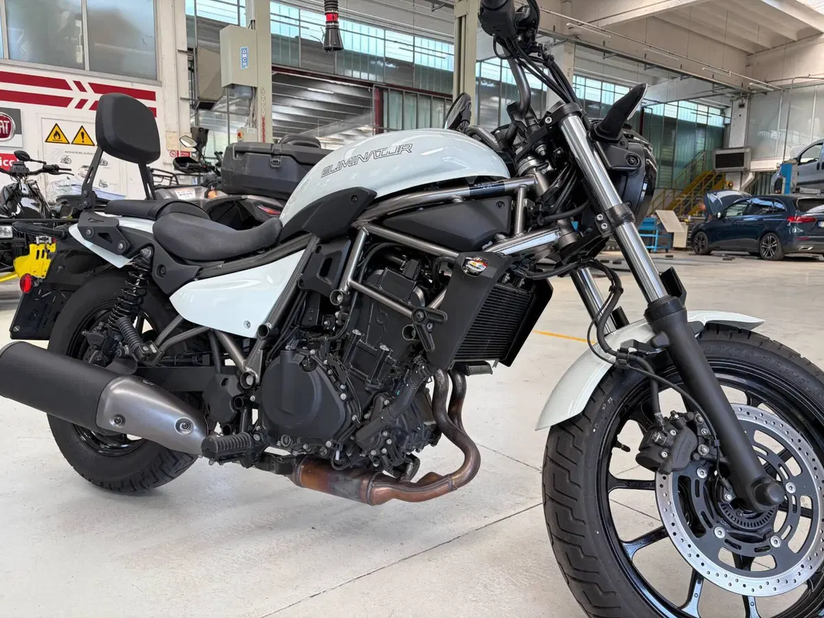 Kawasaki Eliminator 500 (2024 - 26) (3)