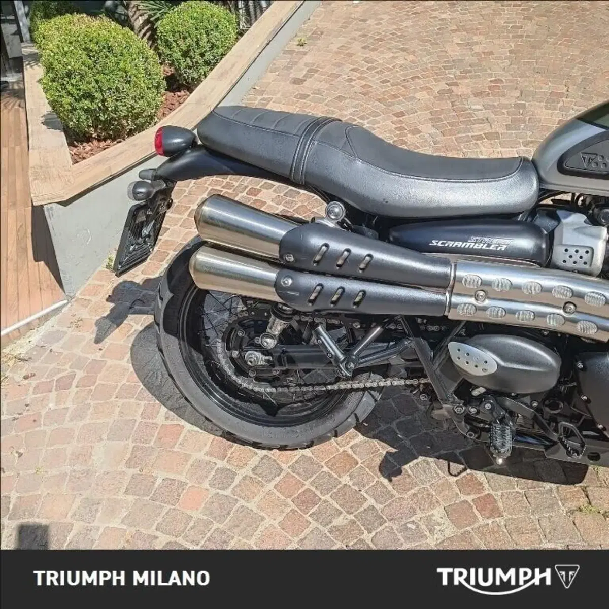 Triumph Street Scrambler 900 (2019 - 20) (2)