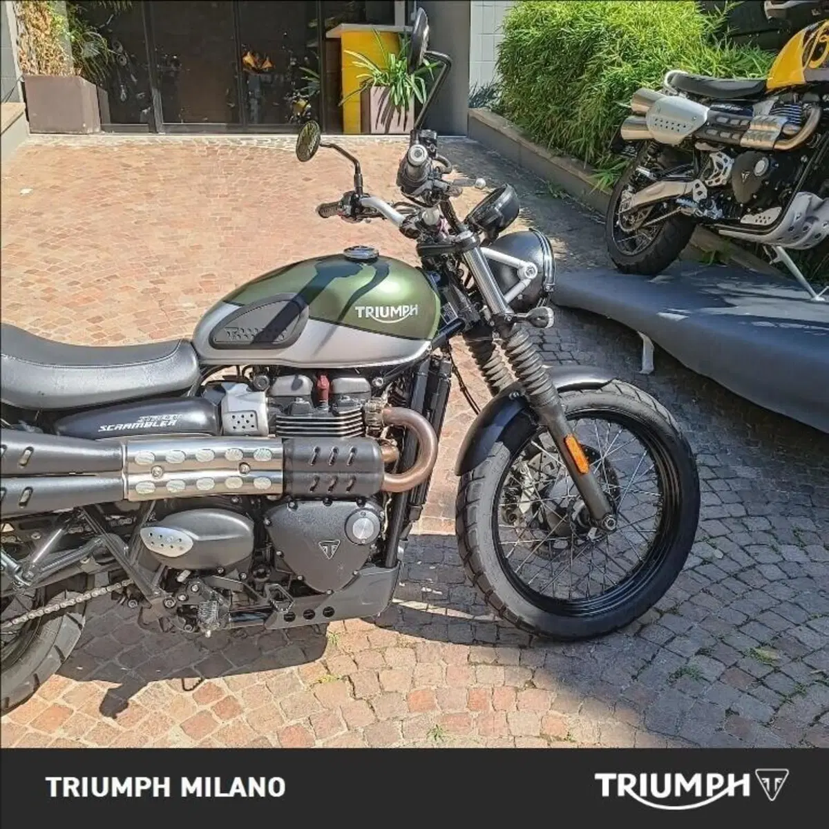 Triumph Street Scrambler 900 (2019 - 20) (3)