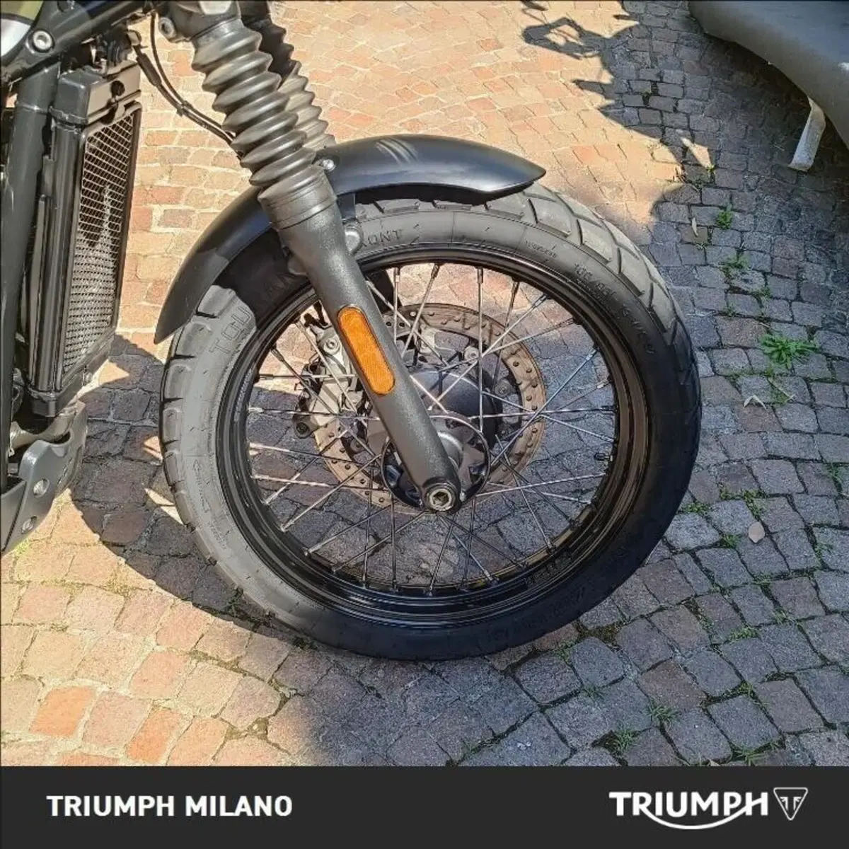 Triumph Street Scrambler 900 (2019 - 20) (4)