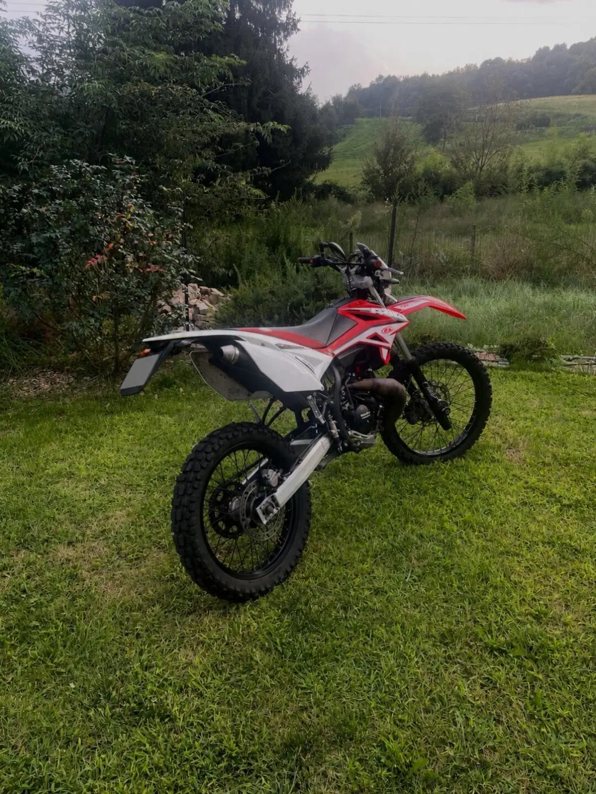 Betamotor RR 50 Enduro (2011 - 18) (2)